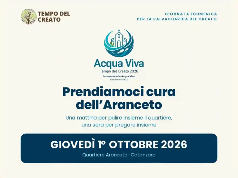 Foto per articolo "Aranceto, un giorno di cura tra ambiente e preghiera" del 30 settembre 2026